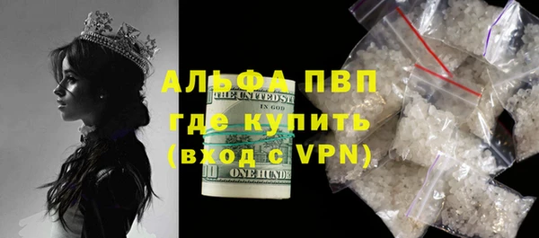твердый Абаза