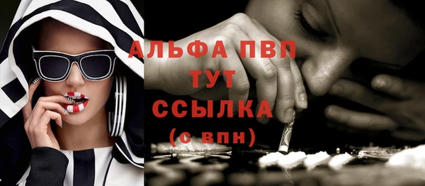твердый Абаза
