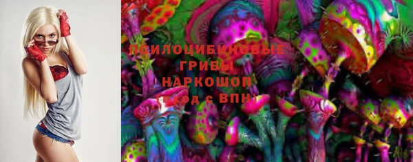 ПСИЛОЦИБИНОВЫЕ ГРИБЫ Абдулино