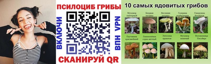 Псилоцибиновые грибы MAGIC MUSHROOMS  OMG   Балаково 